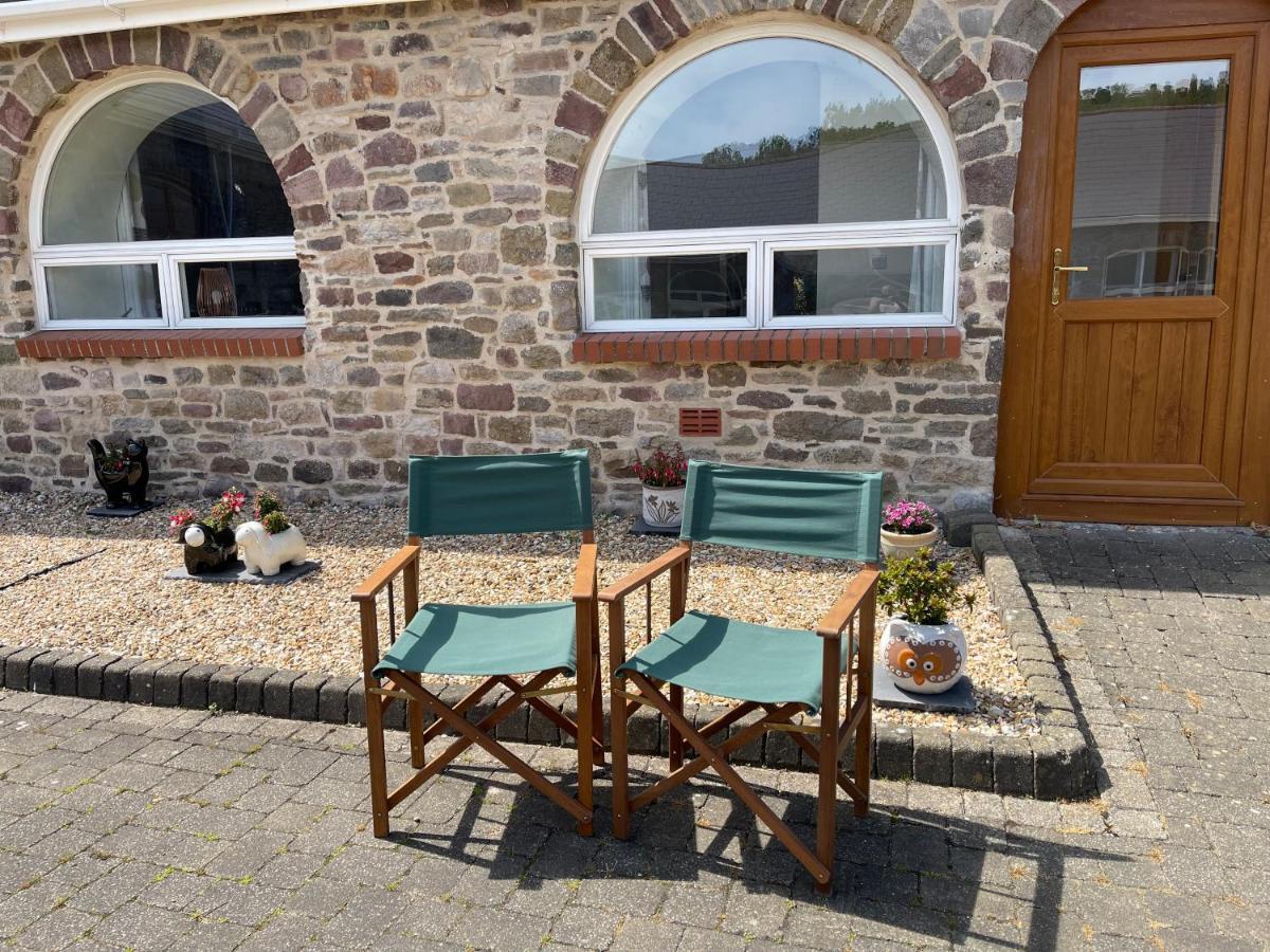 Red Kite Barn Villa Ammanford Buitenkant foto