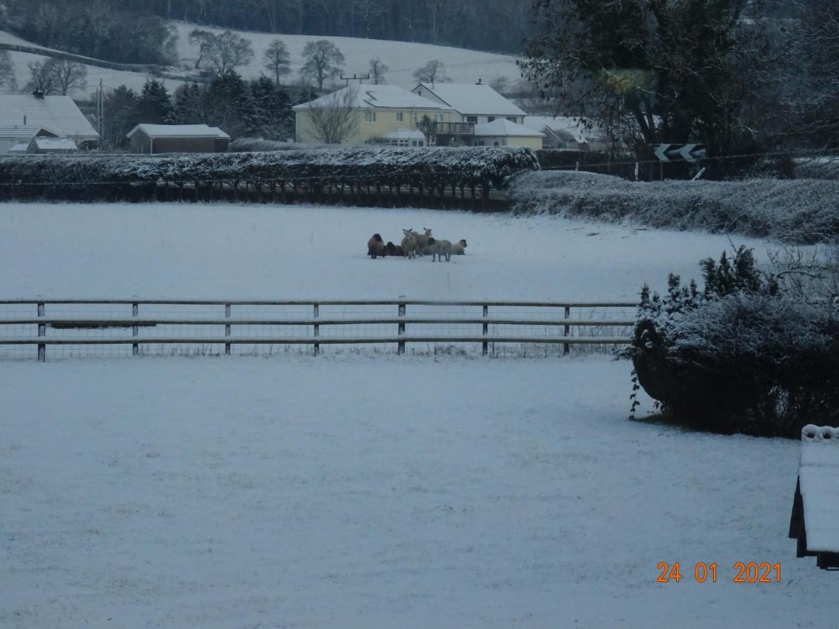 Red Kite Barn Villa Ammanford Buitenkant foto